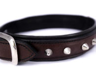 Hundezubehoer - cobra Halsband mit Nieten - Modell Gonzo © Foto: peppUP.de
