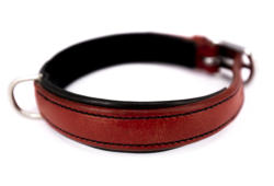 Einfach unterlegtes Leder-Hunde-Halsband Rot Schwarz © Foto: peppUP.de